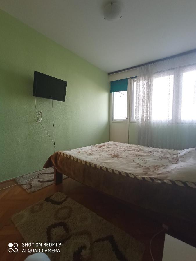 Vukadinovic Apartment Podgorica Bagian luar foto